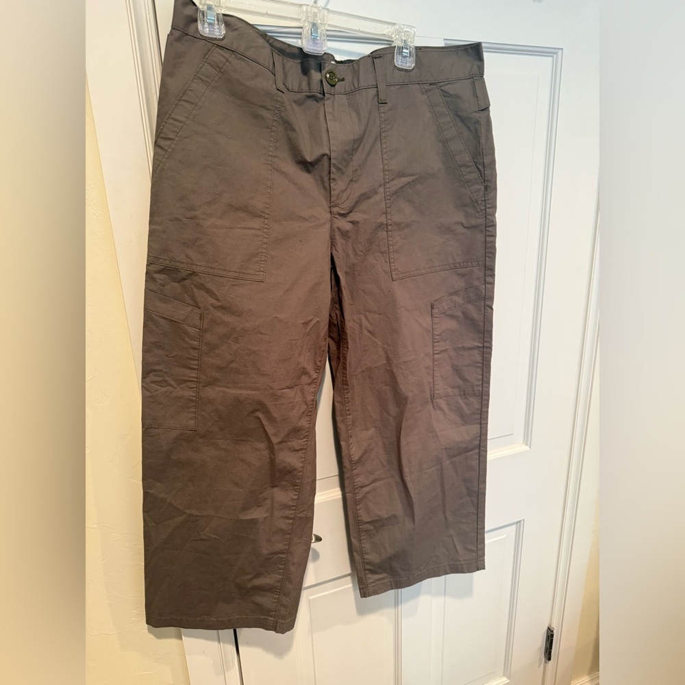 NWT Agolde Daria High Waist Crop Wide Leg Twill Utility Pants Duffle Khaki 32